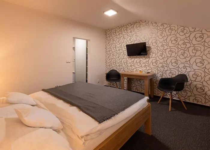 Hotel Lion